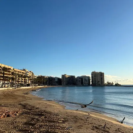 Del Cura Lägenhet Torrevieja