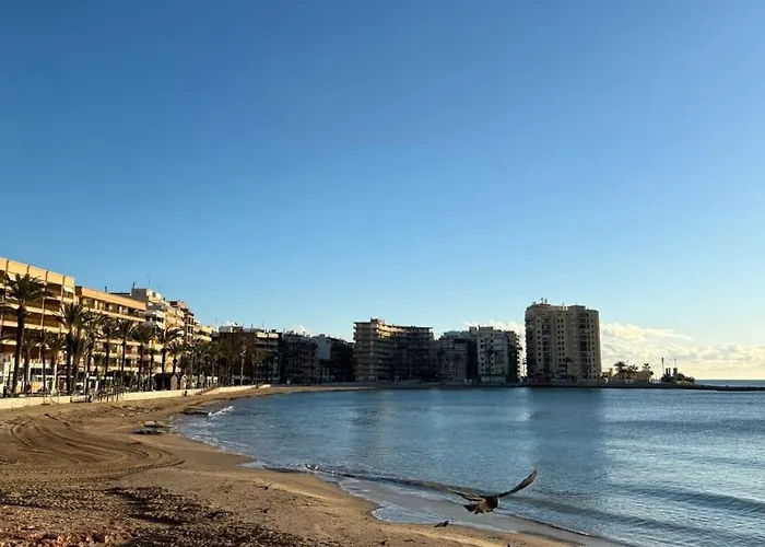 Del Cura Apartment Torrevieja